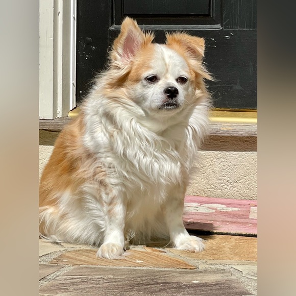 Meet your Posher, Brian - Picture 8 of 14